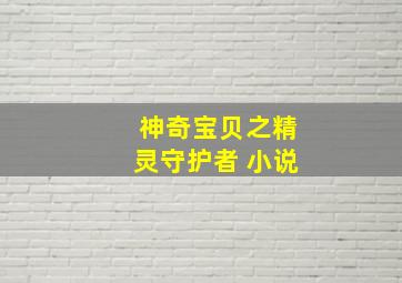 神奇宝贝之精灵守护者 小说